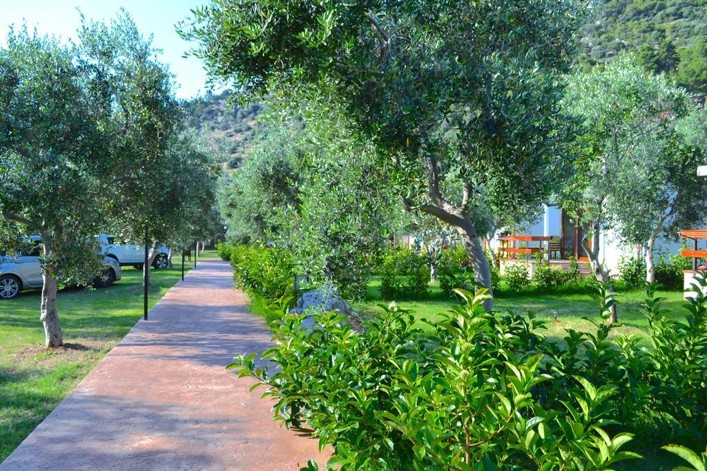 Agriturismo Antichi Ulivi Mattinata Exterior foto